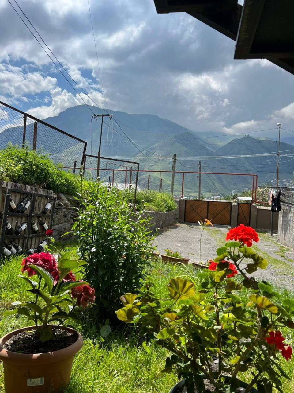 Guesthouse Relax In Kazbegi Extérieur photo